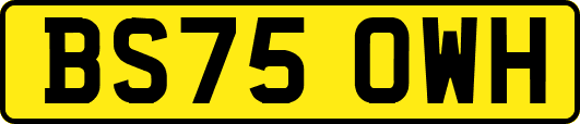 BS75OWH