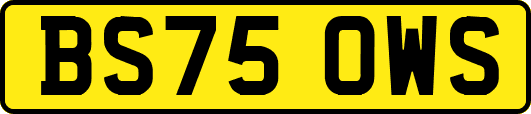 BS75OWS