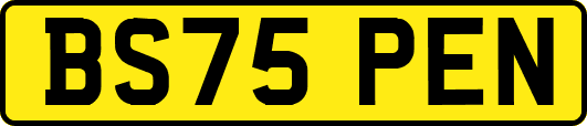 BS75PEN