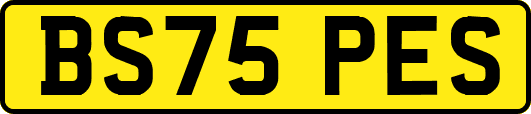 BS75PES