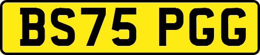 BS75PGG