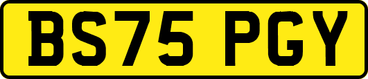 BS75PGY