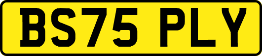 BS75PLY