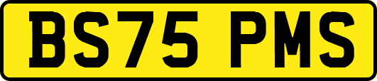 BS75PMS