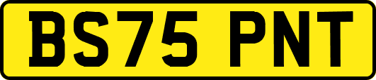 BS75PNT