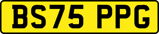 BS75PPG