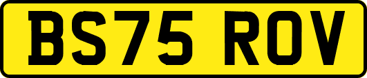 BS75ROV