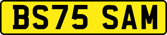 BS75SAM