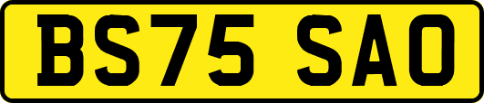 BS75SAO
