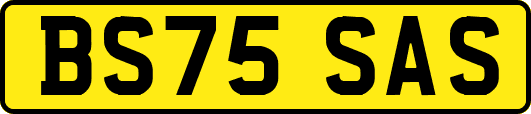 BS75SAS