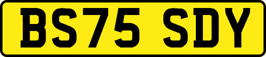 BS75SDY