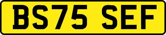 BS75SEF