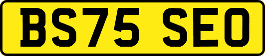 BS75SEO