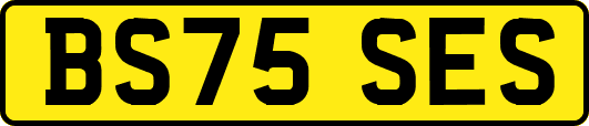 BS75SES