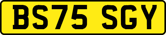 BS75SGY