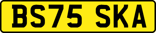 BS75SKA