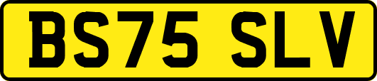 BS75SLV