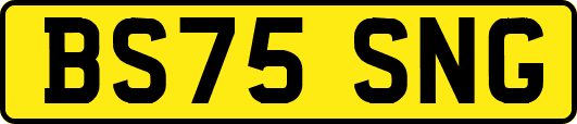BS75SNG