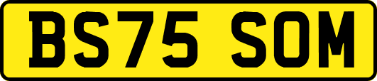 BS75SOM