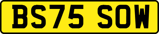 BS75SOW