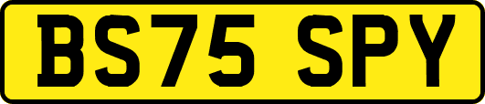 BS75SPY