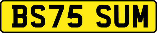 BS75SUM