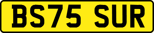 BS75SUR