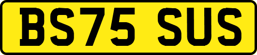 BS75SUS