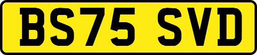 BS75SVD