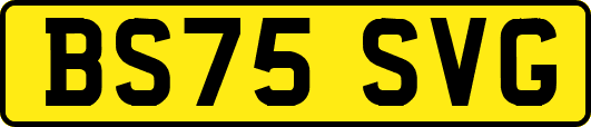 BS75SVG