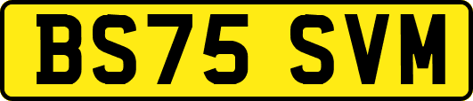 BS75SVM