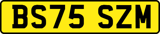BS75SZM