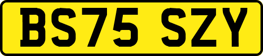 BS75SZY