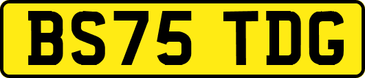 BS75TDG