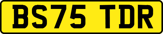 BS75TDR