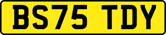 BS75TDY