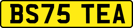 BS75TEA
