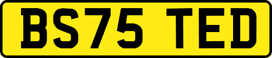 BS75TED