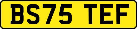 BS75TEF
