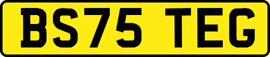 BS75TEG