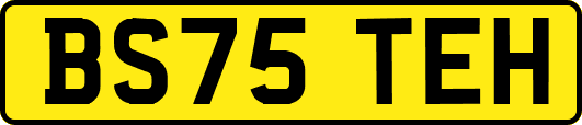 BS75TEH