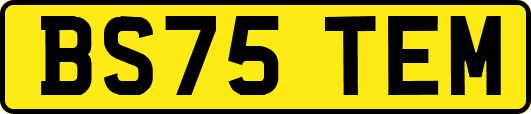 BS75TEM