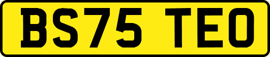 BS75TEO