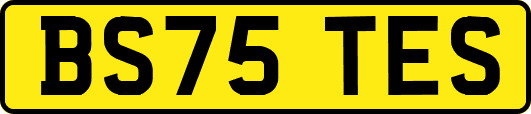 BS75TES