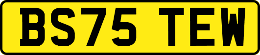 BS75TEW