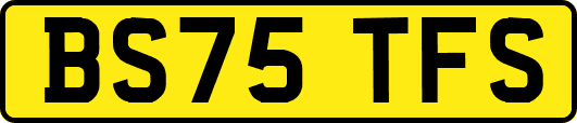 BS75TFS