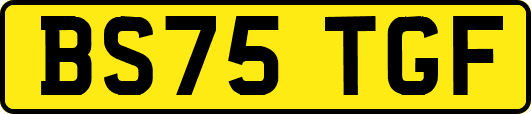 BS75TGF