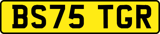 BS75TGR