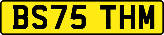 BS75THM
