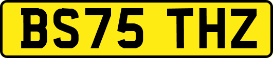 BS75THZ